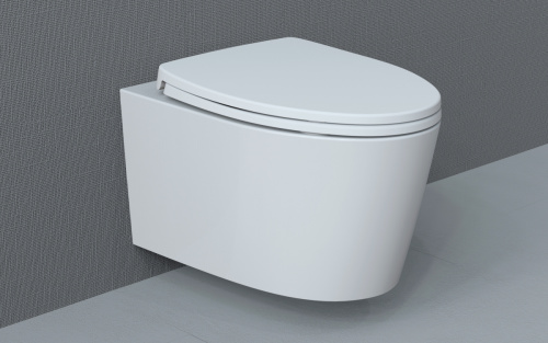 Крышка сиденье Arrow PG015-ZPA - фото 4